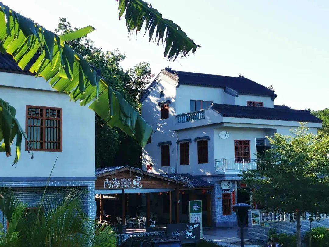 【节目预告】海南很好玩的风吹到了琼海沙美村~_乡村_文化_内海