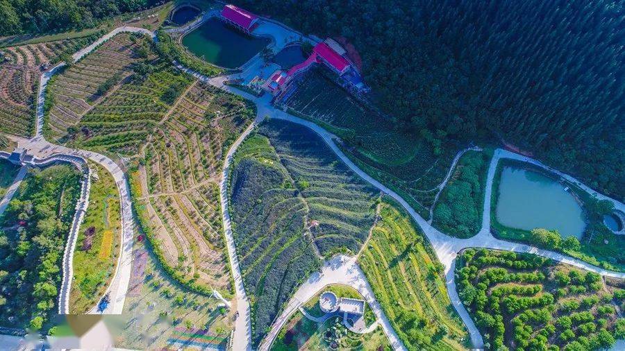 一天看遍东山樟塘镇的滨海乡景,安排!_港西村_文化_生态