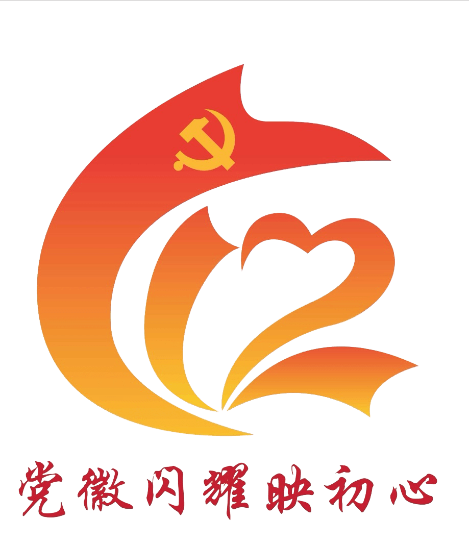 【大丰教育】党徽闪耀映初心丨杨剑峰_接班人_成长_审核