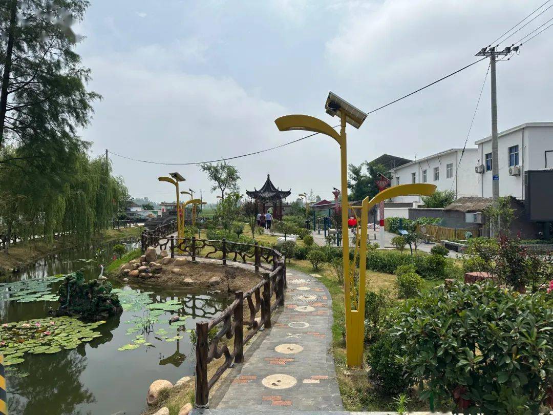 【豆娃普法】寿县司法局指导安丰塘镇民主法治示范村建设工作_文化