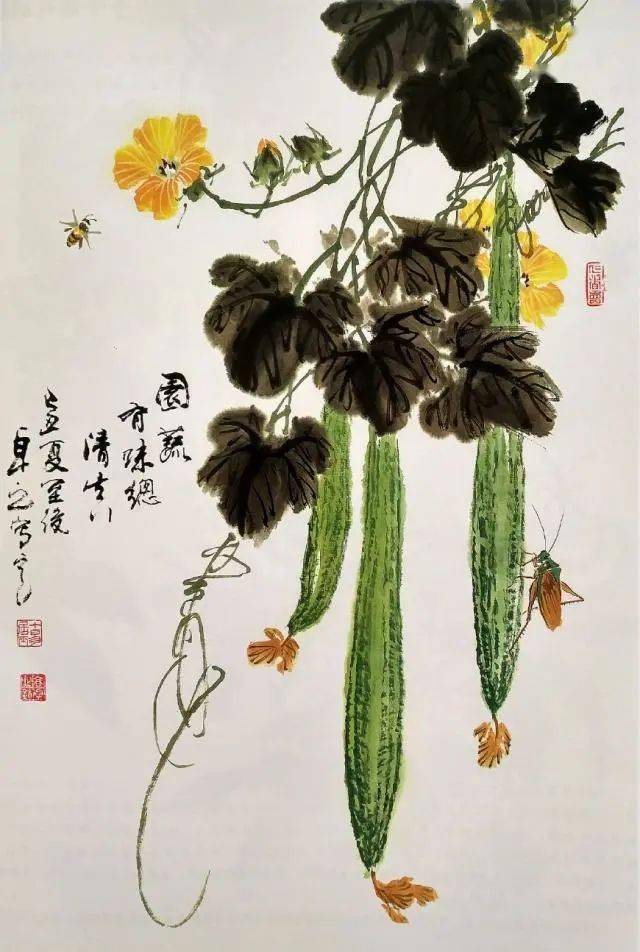 国画教程 丝瓜和丝瓜花的画法