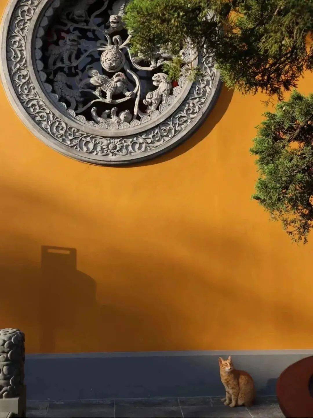 国内单体建筑面积最大的皇家寺院,华夏最美寺院——【会稽山龙华寺】