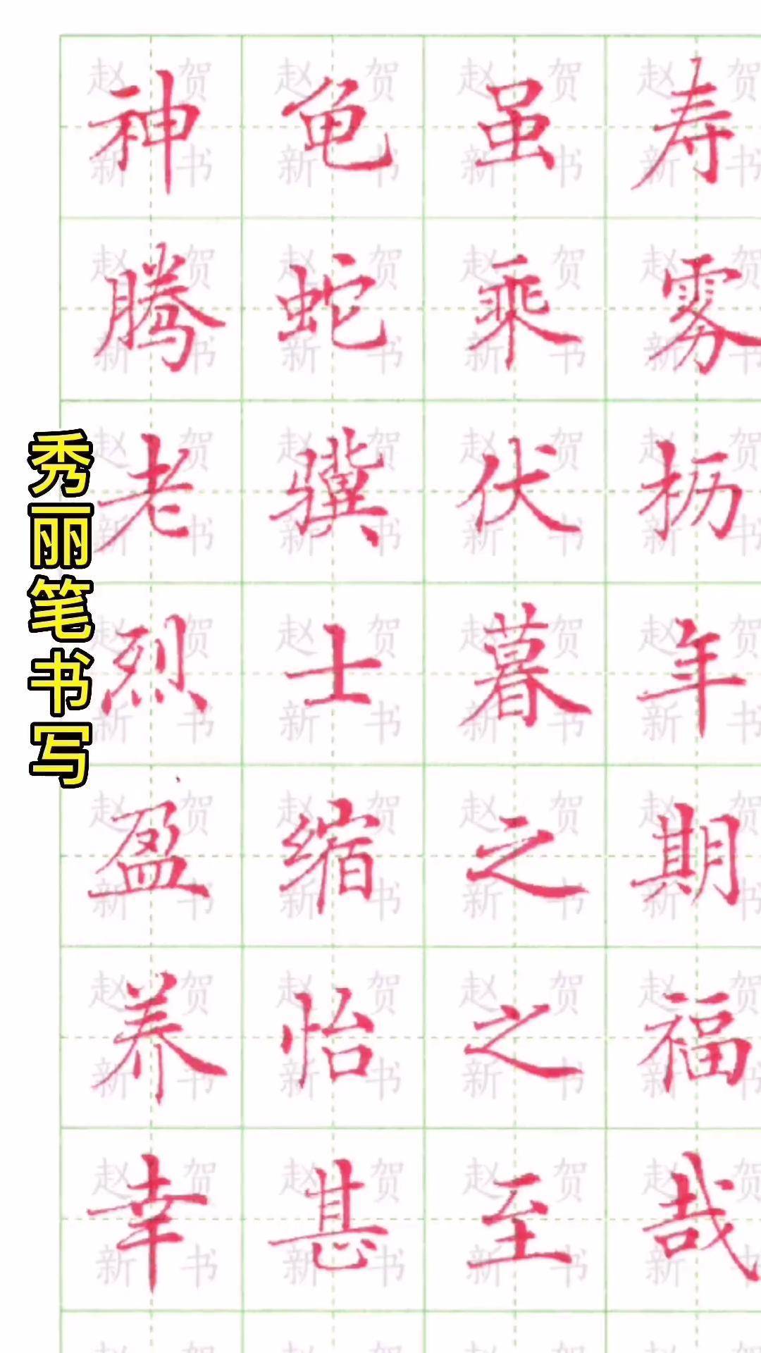 金万年秀丽笔小楷《龟虽寿》练字 手写 硬笔书法 书法抖起来 硬笔 抖
