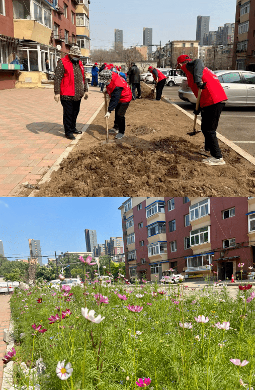 【两邻生活】虎石台街道兴虎社区:种花植绿添美景 老旧小区展新颜