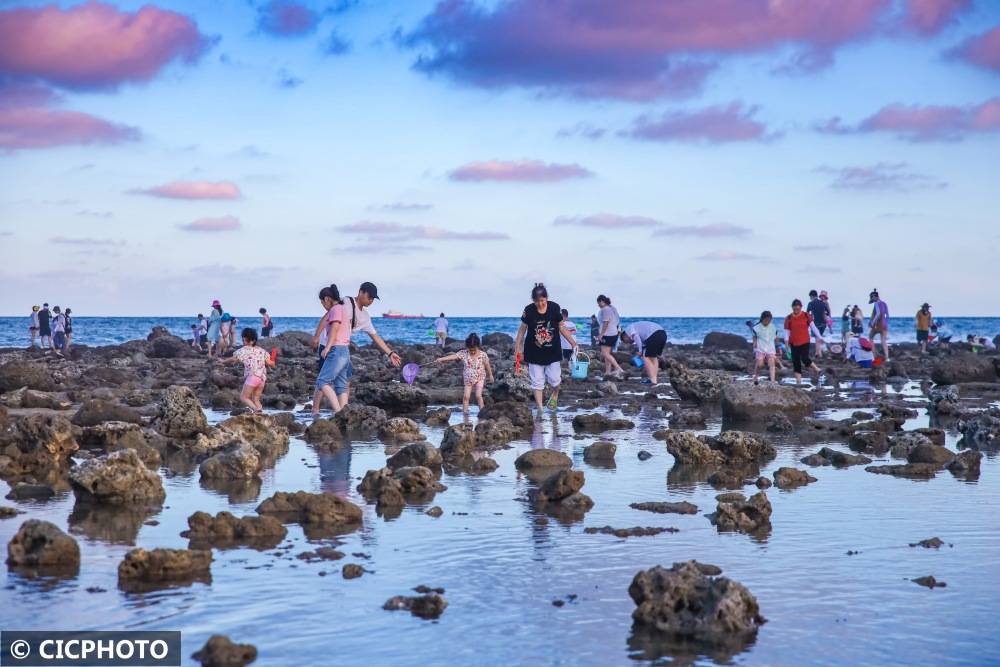 西沙群岛的美景 赶海图片