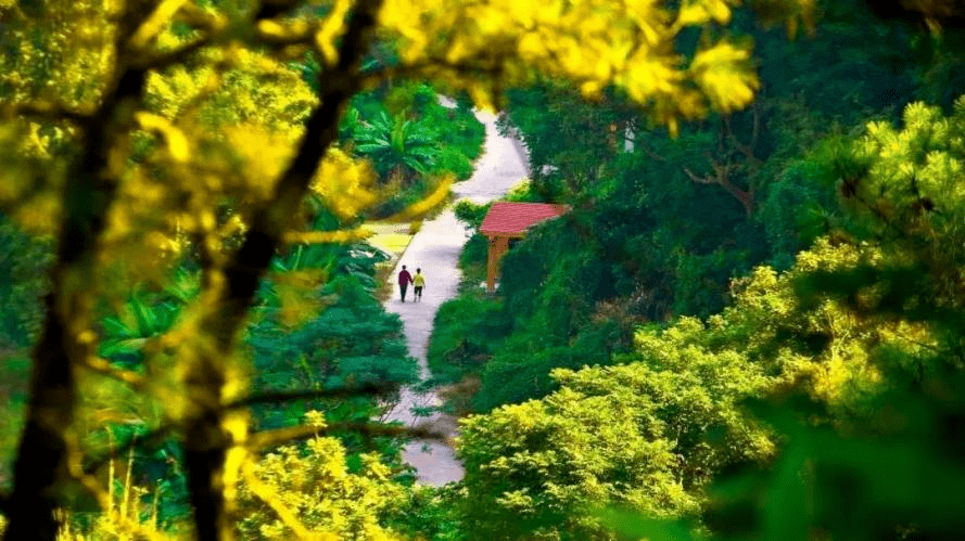 公园设计充分利用地形地貌,对金钟山原有的山峰森林等自然资源进行