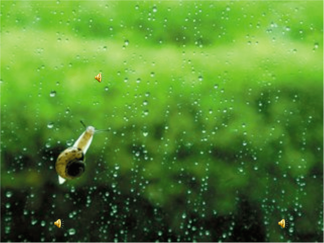夏天的雨，落在了诗词里，美到极致_夏雨_生活_笔下