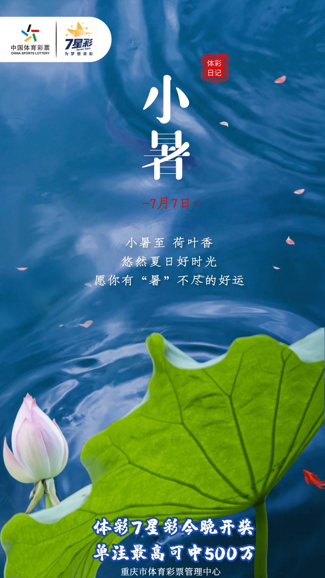 小暑至,愿你有“暑”不尽的好运
