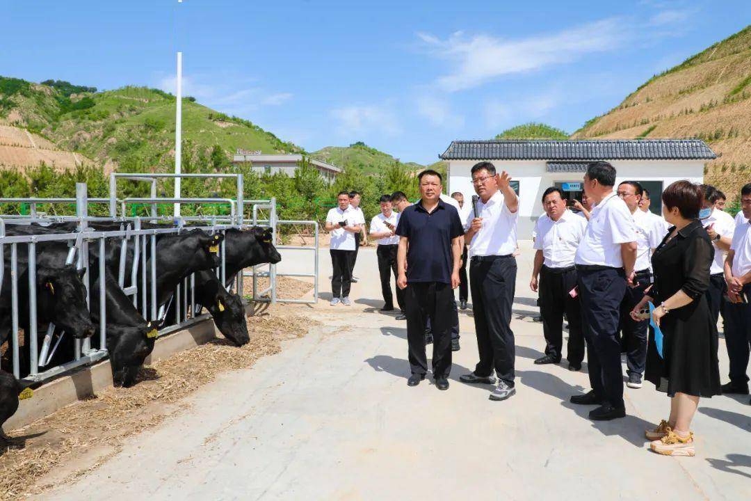 7月6日,县委书记王廷洪带队赴陕西省清涧县考察学习乡村振兴工作.