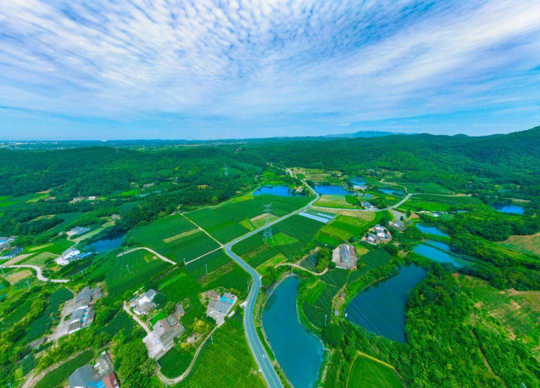 摄榜上有名当阳市玉泉寺至双莲公路"最具人气农村路"名单