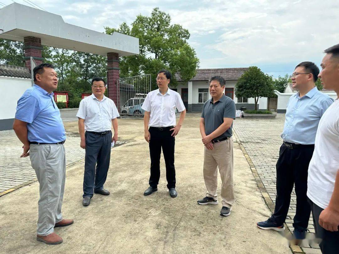 聂爱国来我县调研交通建设情况丨早安,庐江!_提子_发展_作业