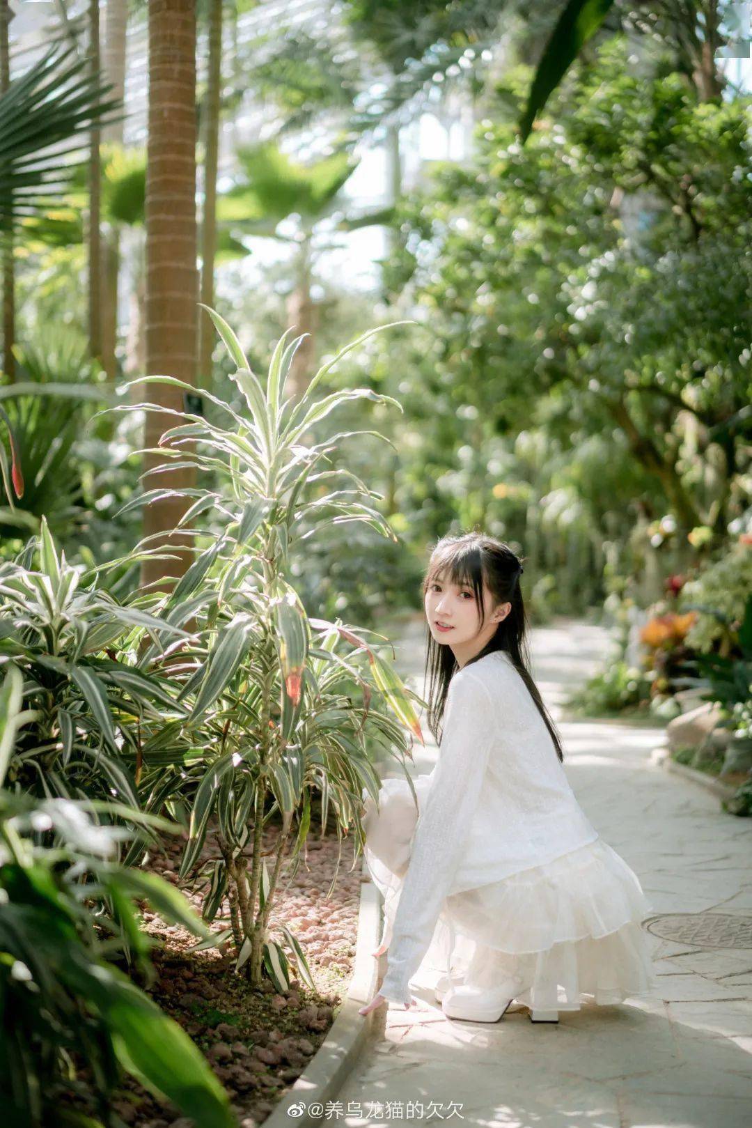 人像写真:阳光斑驳,白衣萝莉_coser-_摄影