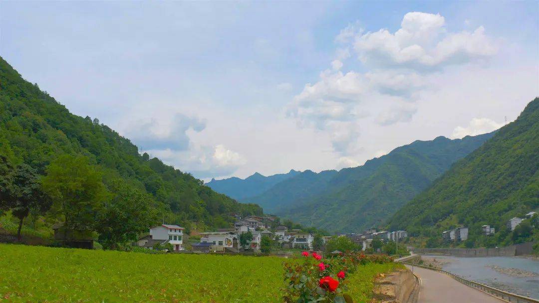 【城口融媒 走进修齐镇】诗意白果 乡愁小院_群众_乡村_组织