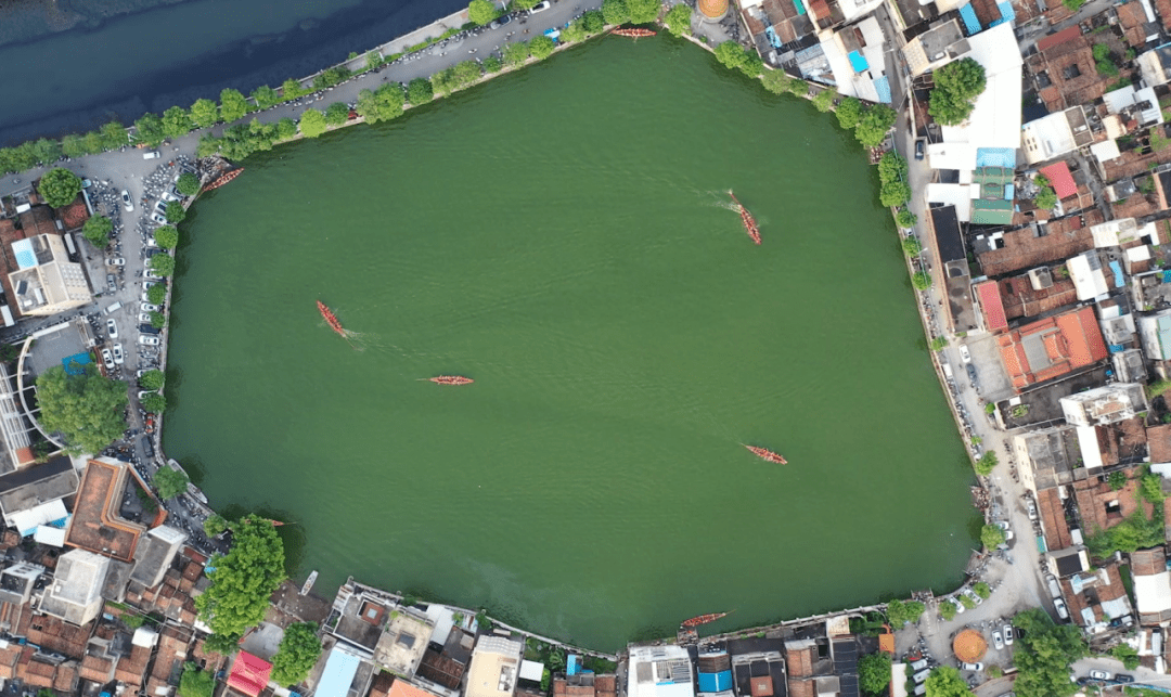 【直播预告】明天上午8:10,别错过潮阳后溪龙舟赛!_汕头_比赛_乡村