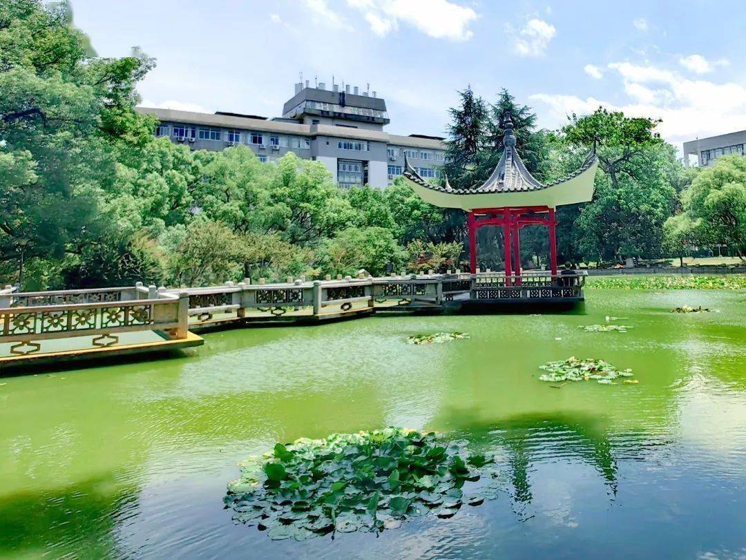 今日入伏,"我"想开了!_荷花_中南_山南路