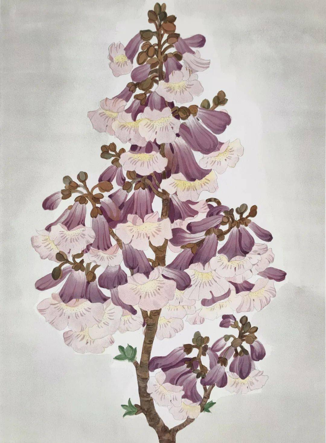 散花天女丨常沙娜版画作品赏析_she_in_crafts