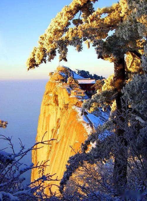 公示|"中国魂·华山情"全国摄影大赛相机组等级奖揭晓_陕西_渭南_西安