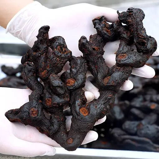 黄精文化 | 黄精保健食品的开发现状及产业发展分析_产品_功能_数量