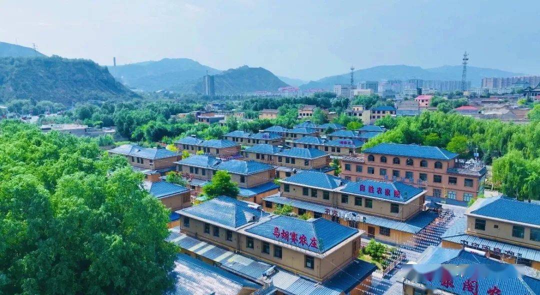临夏市折桥村集中着数百家干净整洁的农家院落是这个炎热的夏季大家