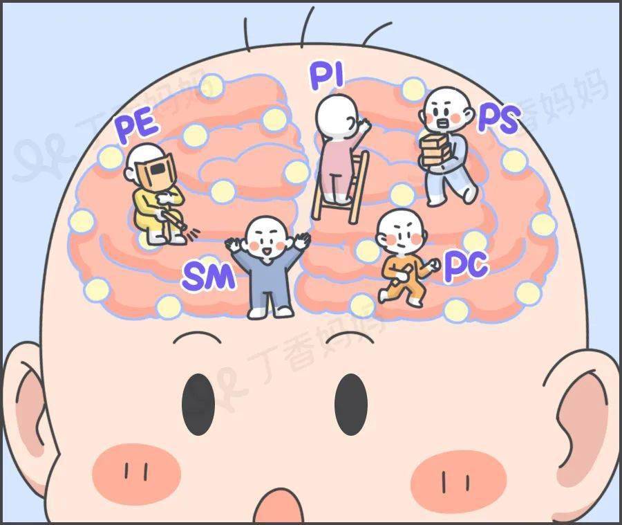 家长常做的 2 个行为,可能会影响宝宝大脑发育_孩子_神经系统_认知