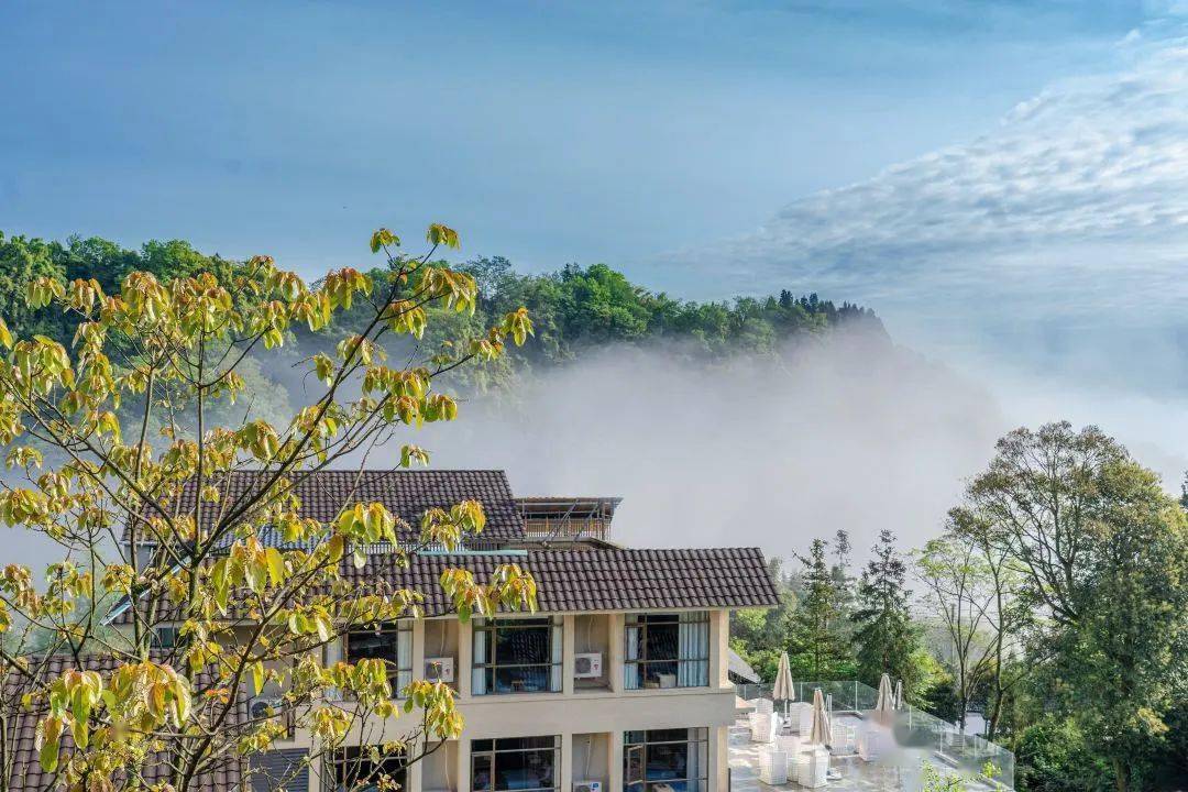 山水雅安滋潤生活 | 觀名山 遊大川 到雅安_金山_蒙頂山_大渡河