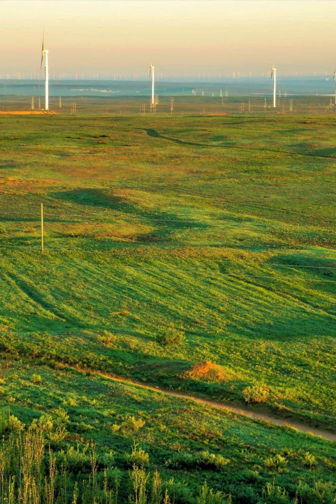 摄影_冯大伟_物质