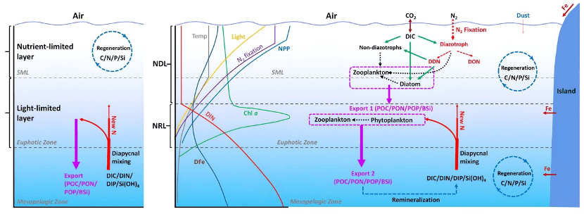 carbon-fe项目组牵头发表北太平洋荒漠区生物地球化