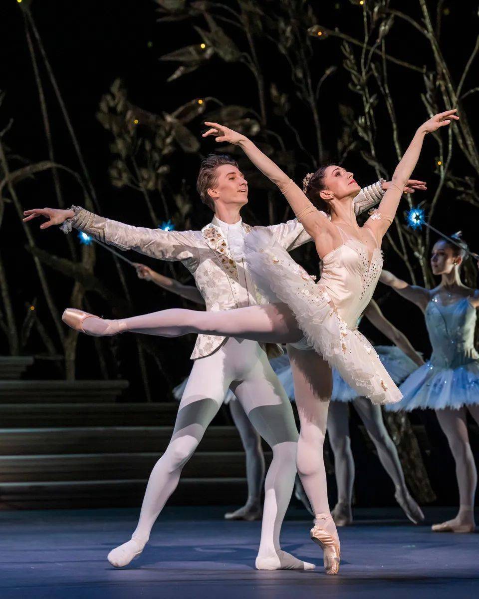 阿什顿_普罗科菲耶夫_系列