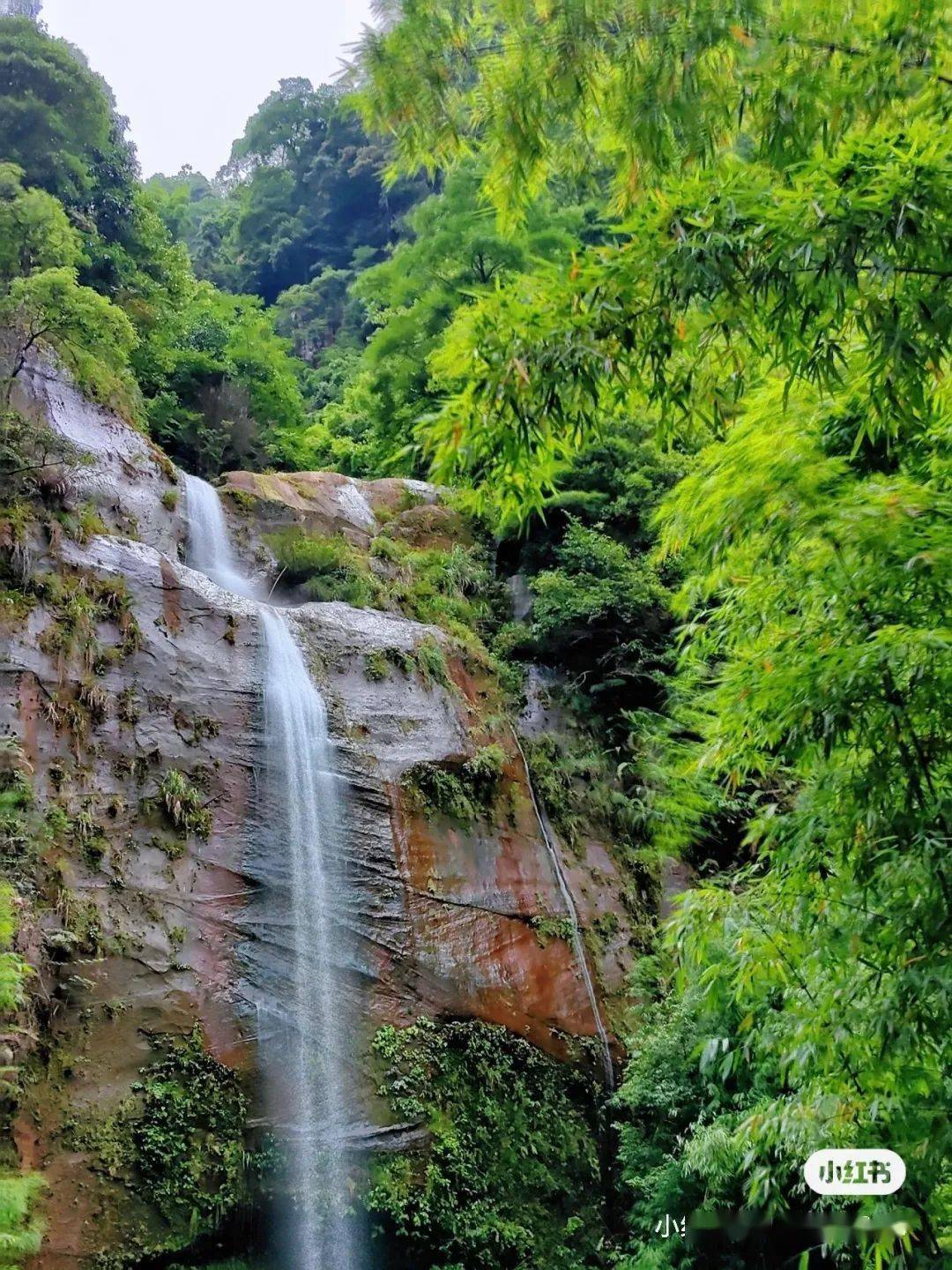 上的"处女地"黄龙湖丛林漂流画稿溪黄龙湖丛林漂流景区篇漂流营业时间