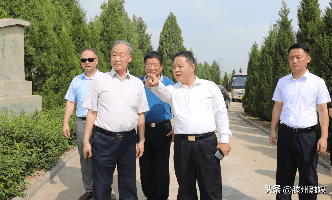 滕州籍将军张振德,刘子贤,孔令义,李晓亮来滕调研_建设_工作_少将