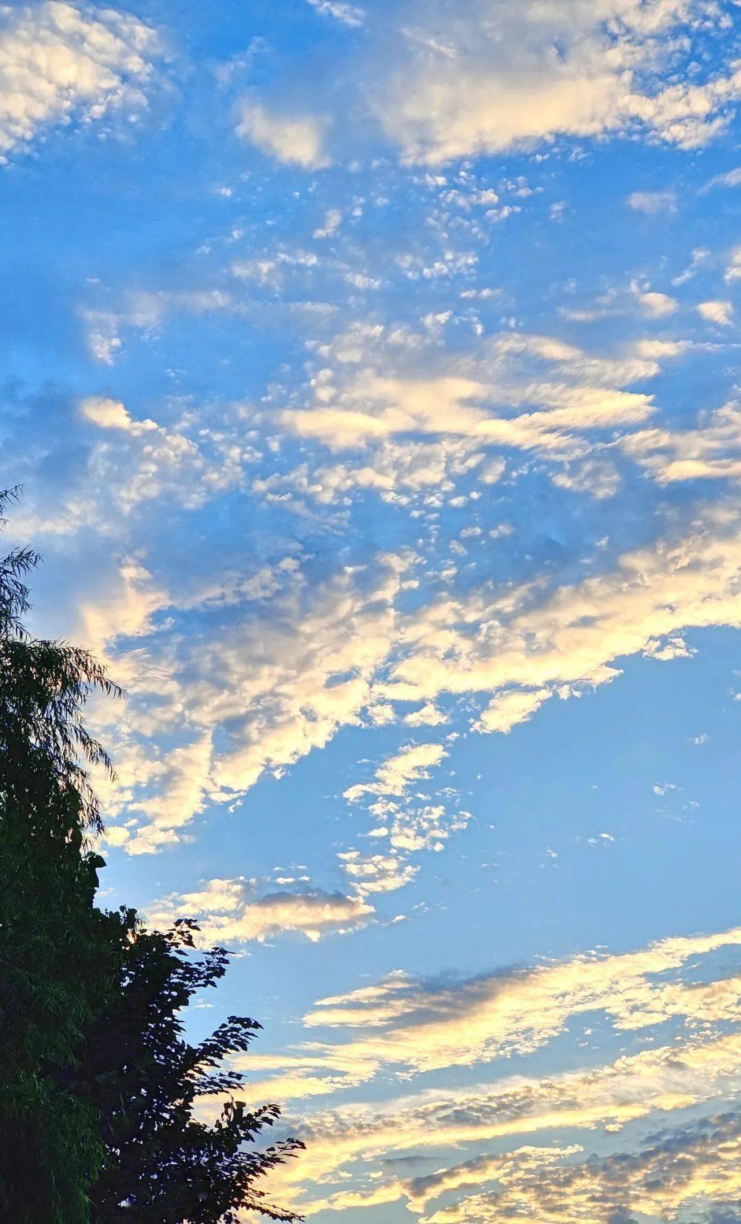 雨后初晴是天空的景象图片