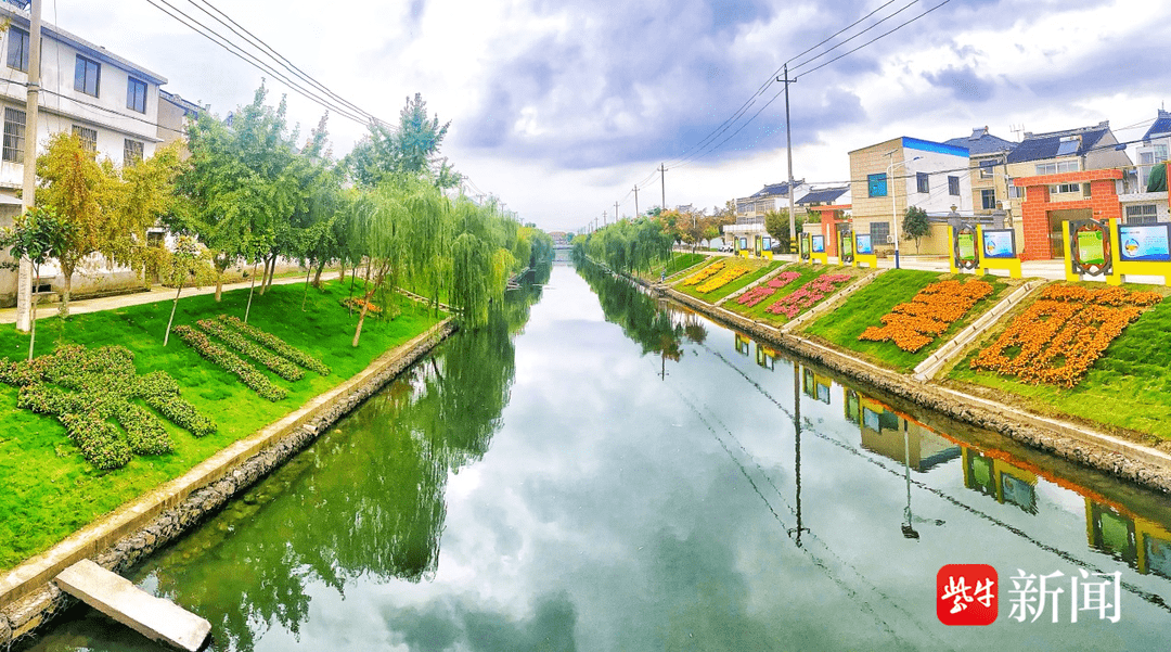 泰兴济川街道人大工委:深入基层调研 助推乡村振兴_群众_庄河_环境