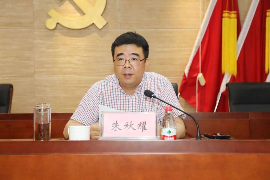 临湖镇召开农村违规建房问题专项整治工作推进会_相关_责任_镇党委