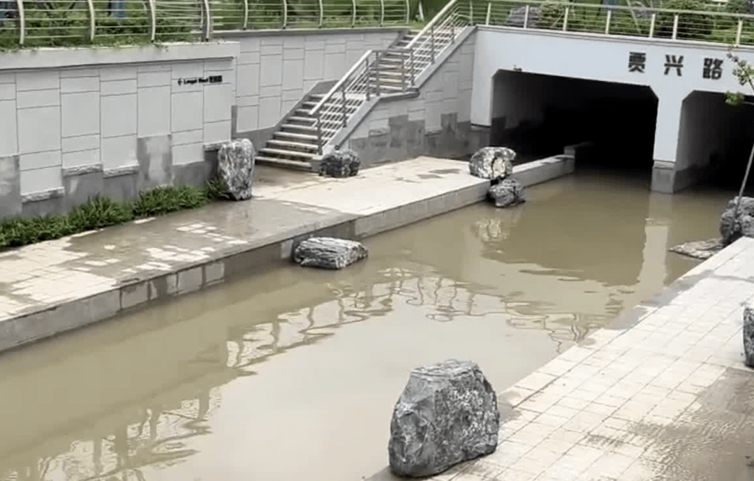 突发!女子桥洞避雨,被冲走失联!_河道_西善桥街道_雨花台区