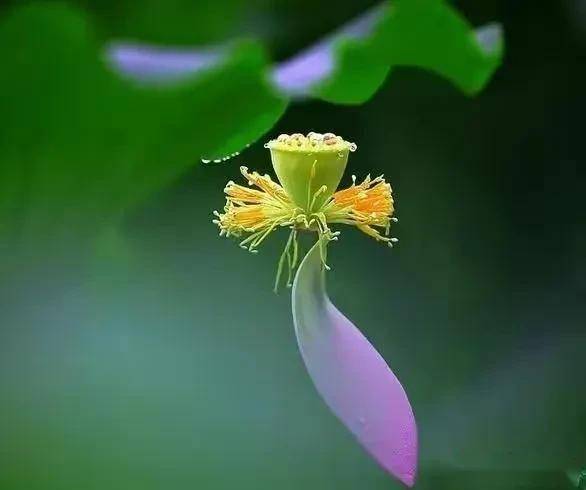 冰心那问洛阳客,爱信谁传湘水娥.仕路迷茫门内冷,穷身落寞众前矬.