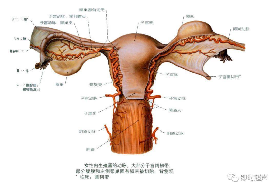 来自搜狐网
