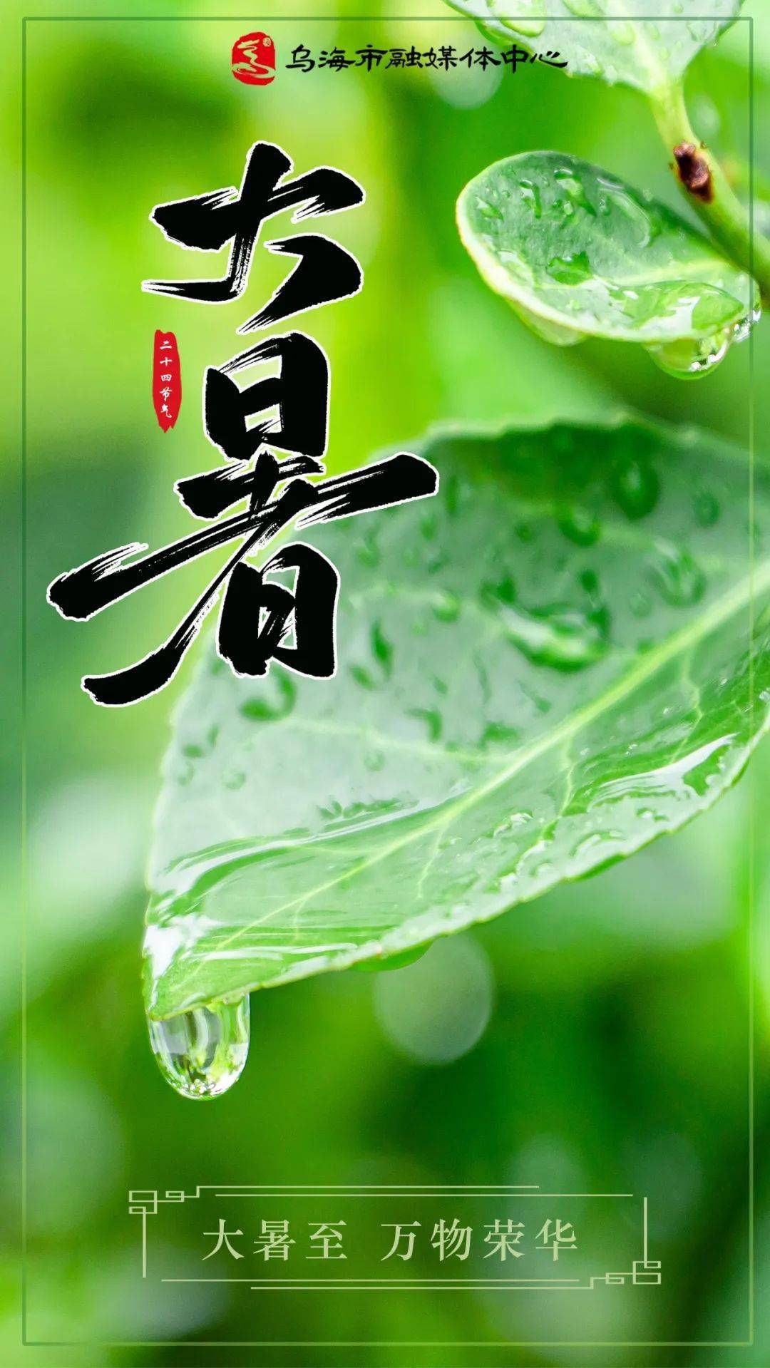 今日大暑_时节_萤火_节气