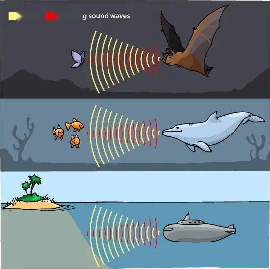 超声波_肿瘤_治疗