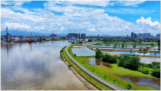 【代表主题活动】台山市大江镇人大:榕树头下议政 共商潭江流域综合