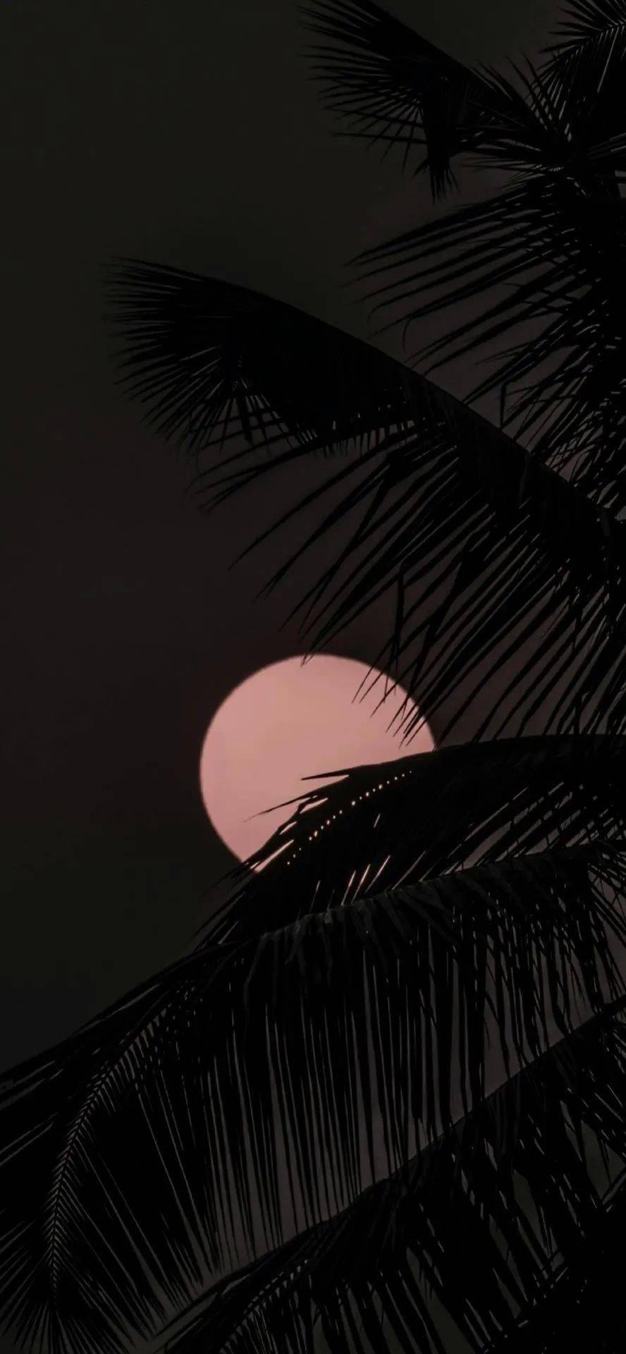 壁纸| 苹果壁纸ins高级质感