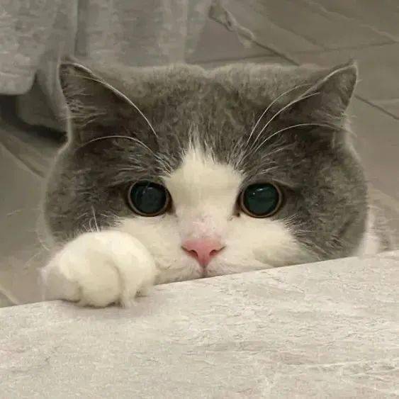 头像| 优质小众363436373039头像