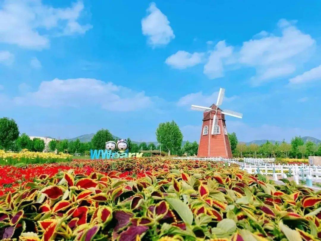 嗡嗡乐园这里有诗和远方,星辰大海,来到东方九里晴川,阡陌青绿,山水