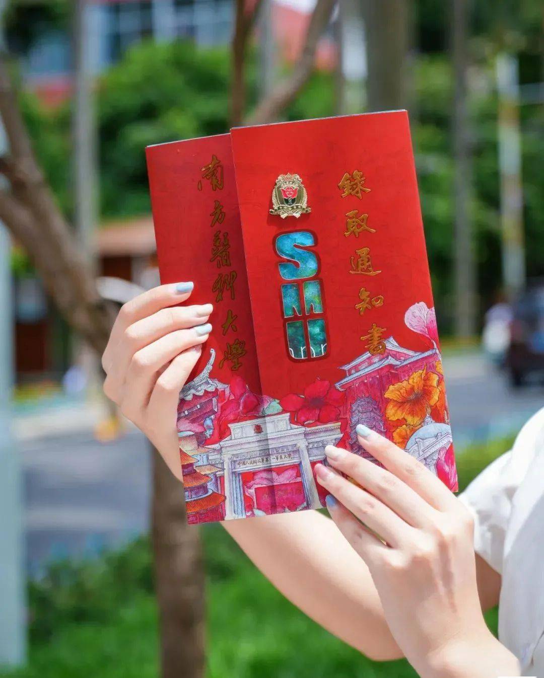 这样的录取通知书你见过吗_暨南_线条_新生