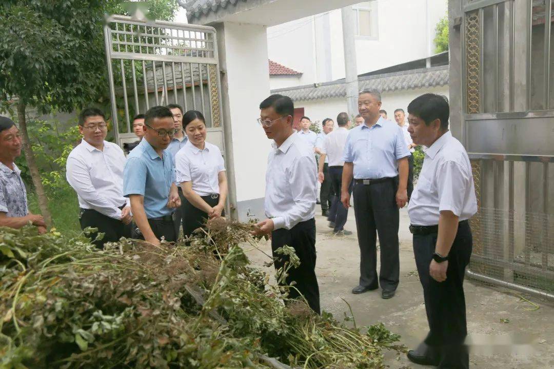 沈丘县宣传部长李涛图片