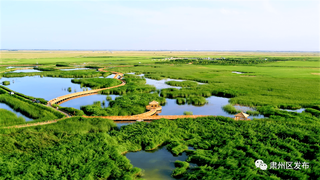 肃州,好"彩"!_夏天_夏日_金色