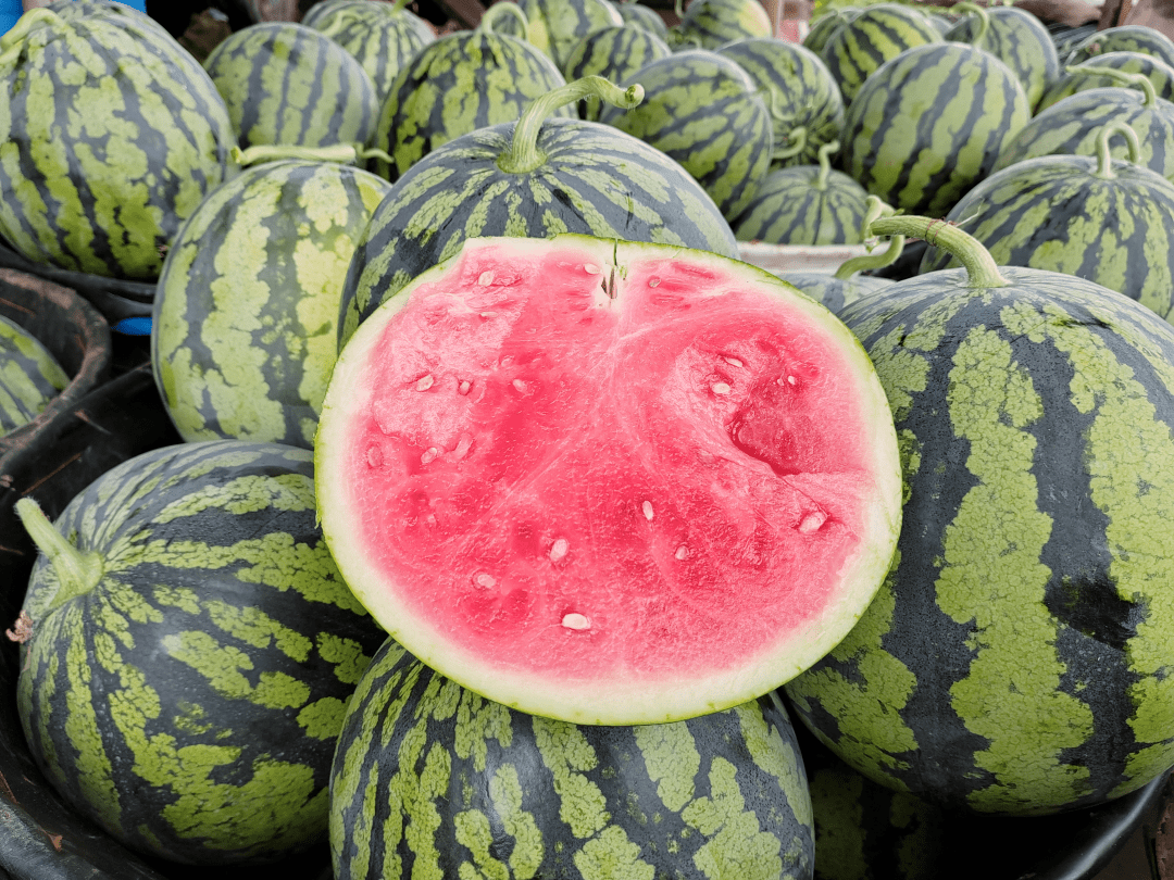 进入剑峰镇,第一要逛的就是位于桂花村的嘉州绿宝西瓜基地.