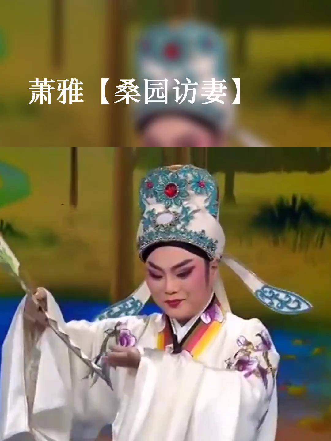 萧雅老师越剧何文秀