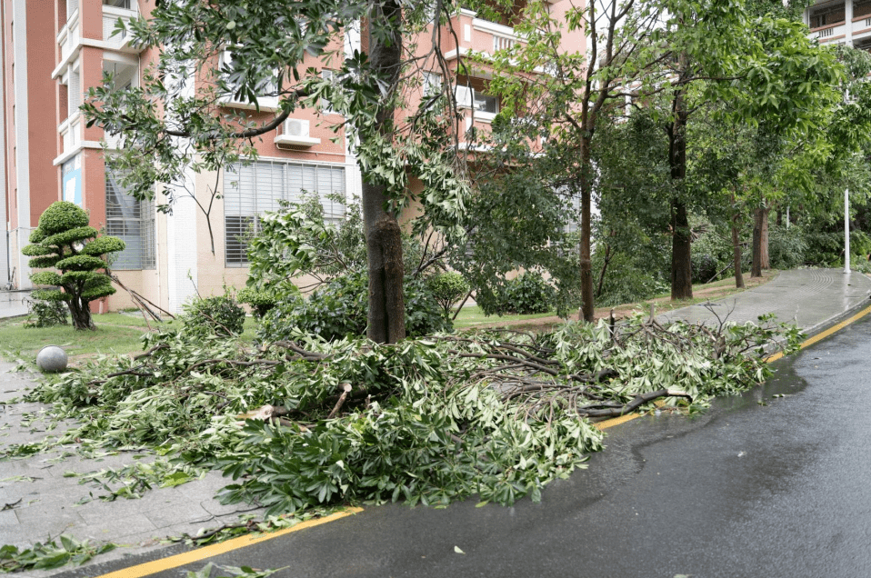 图片直击丨台风过后,我们倾力守护!_登陆_应急_受灾