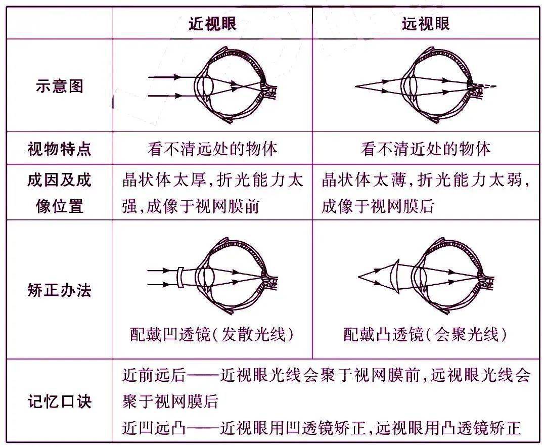 四,近视眼和远视眼的成像原理及其矫正人的眼睛好像一架照相机,晶状体