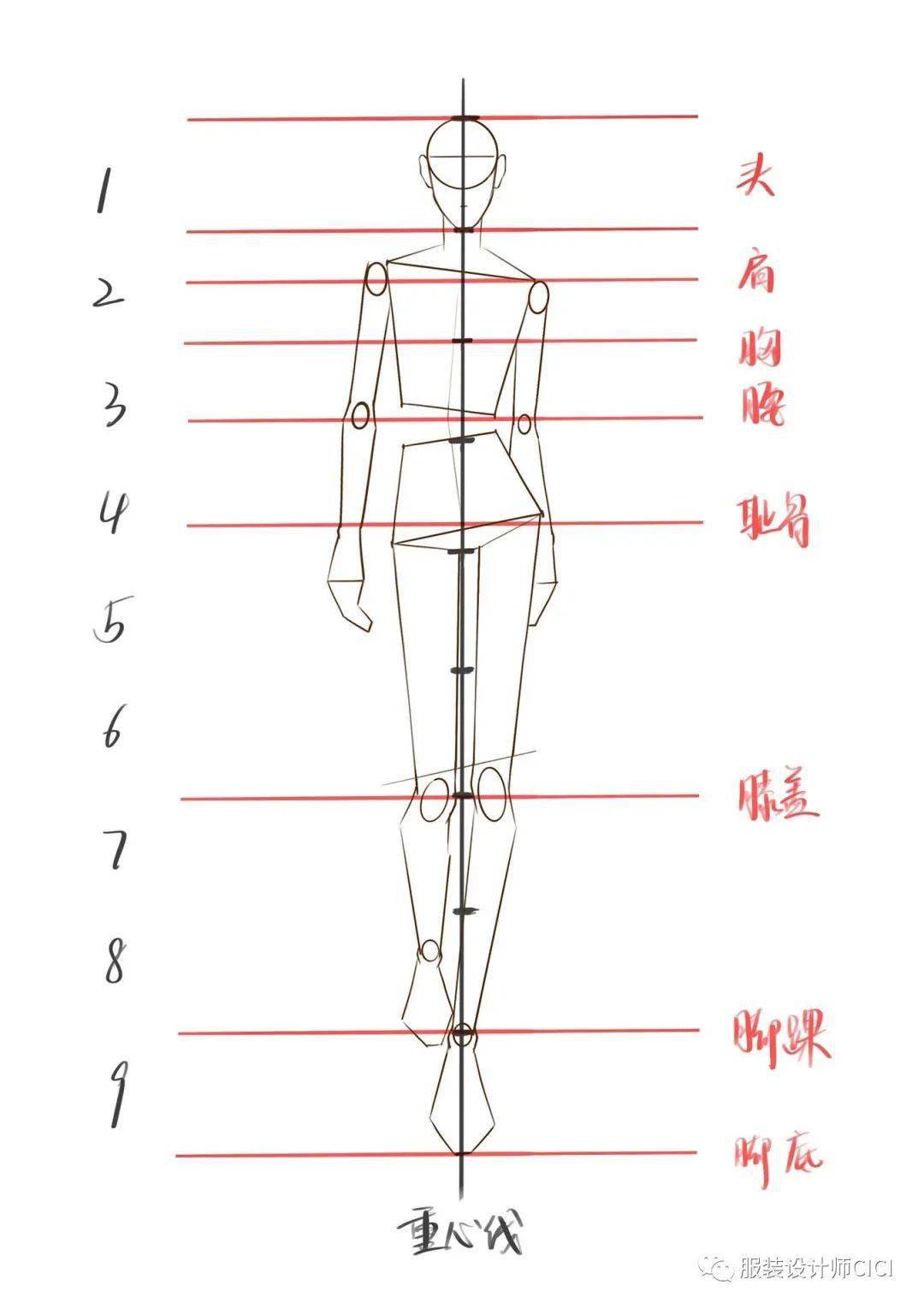 手把手教你画服装人体动态